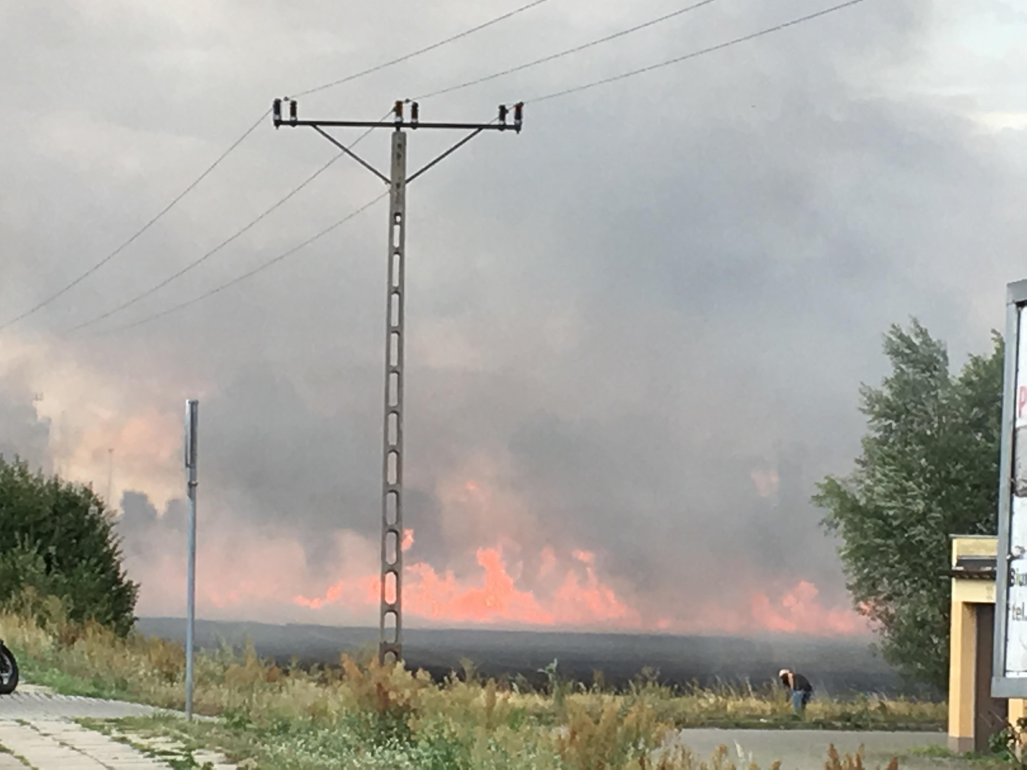 Pożar pola na osiedlu Piekary. Zagrożone garaże