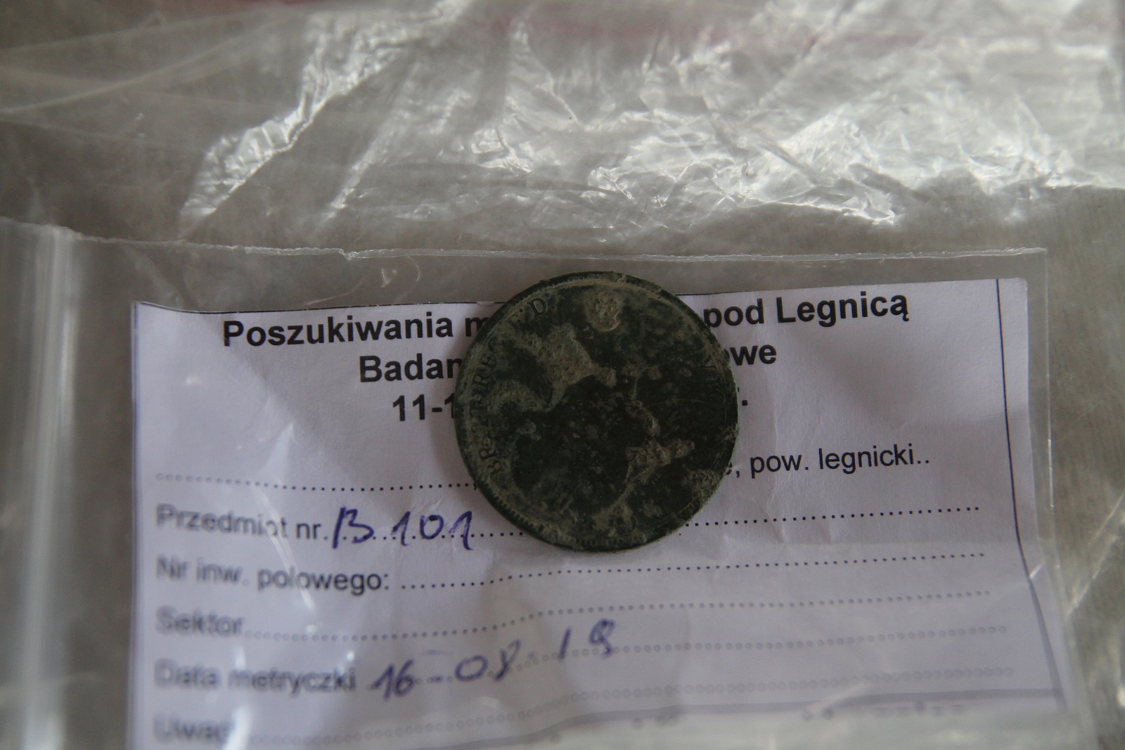Szukali śladów Bitwy pod Legnicy. Znaleźli najwięcej śladów