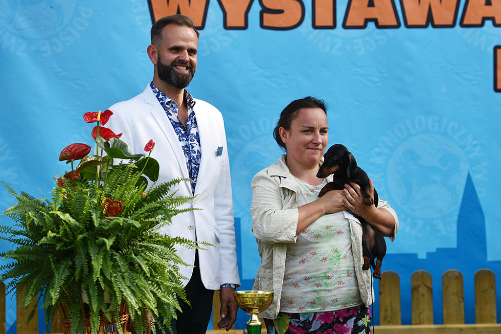 Psy rasowe i myśliwskie walczyły o czempionat