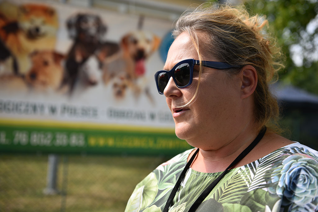 Psy rasowe i myśliwskie walczyły o czempionat
