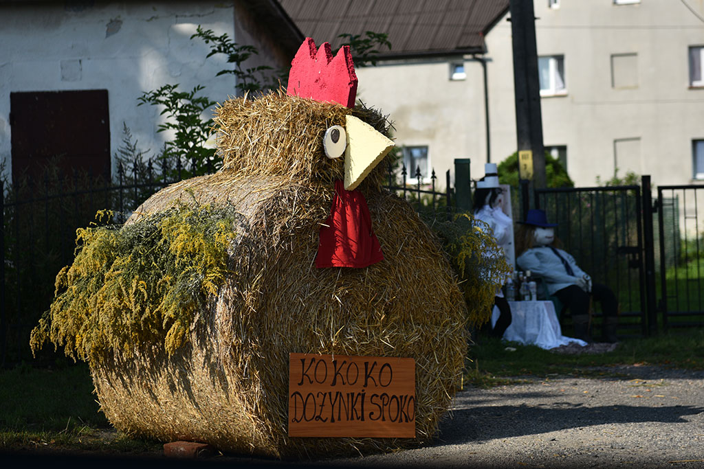 Zabawa dożynkowa mieszkańców gminy Krotoszyce