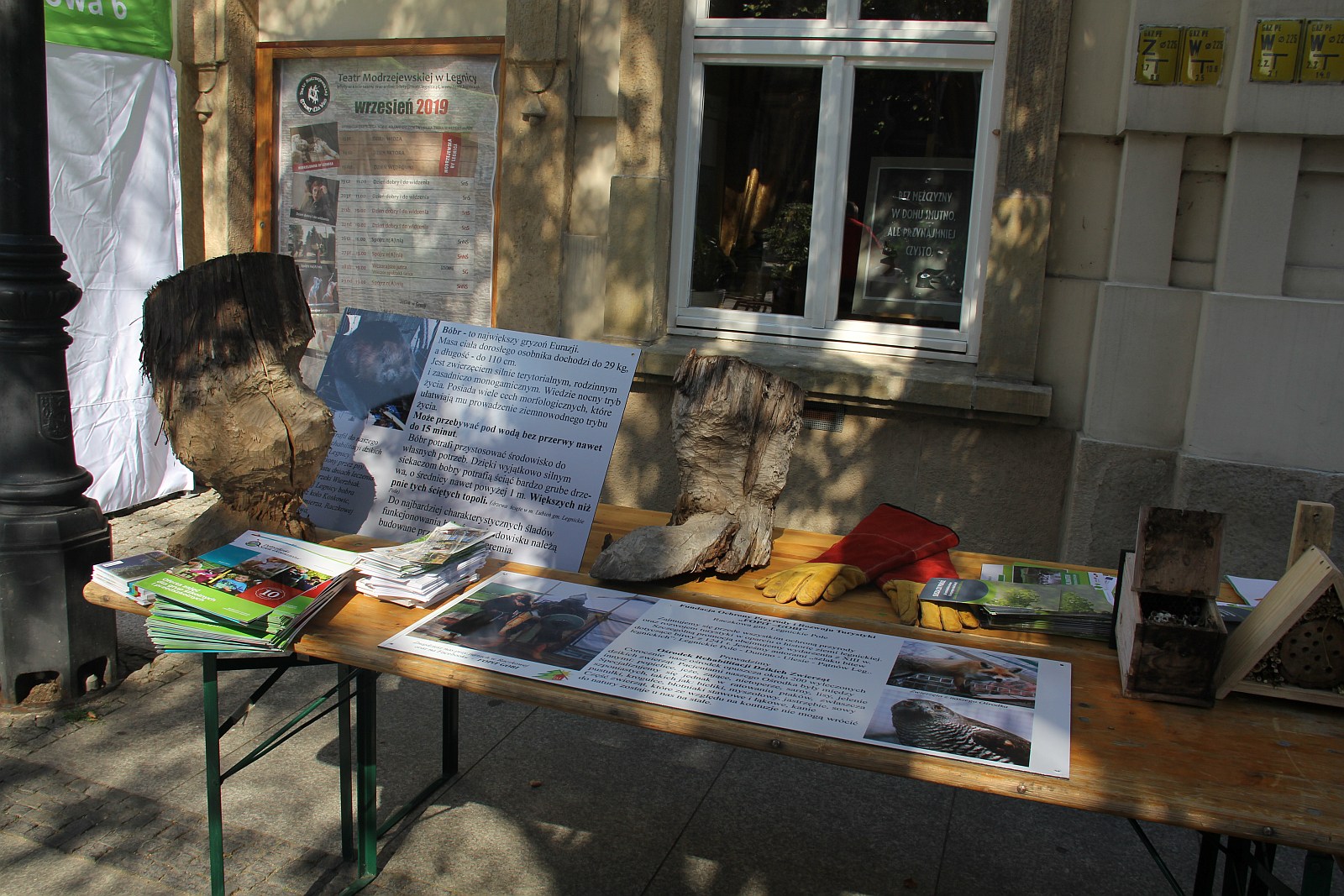 Działkowcy i pszczelarze świętowali w sercu miasta