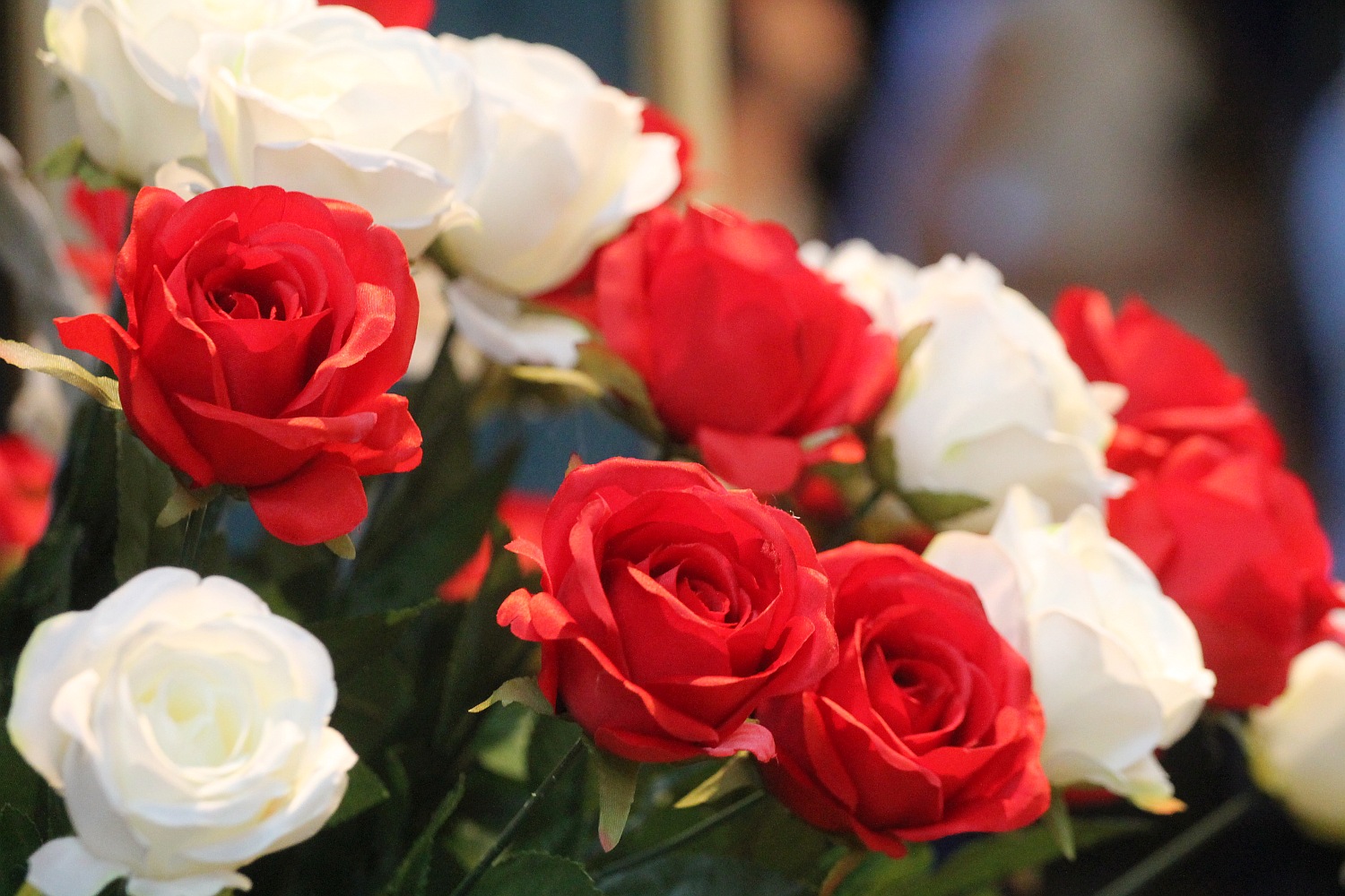 W Sali Maneżowej odbyła się miejska inauguracja roku szkolnego