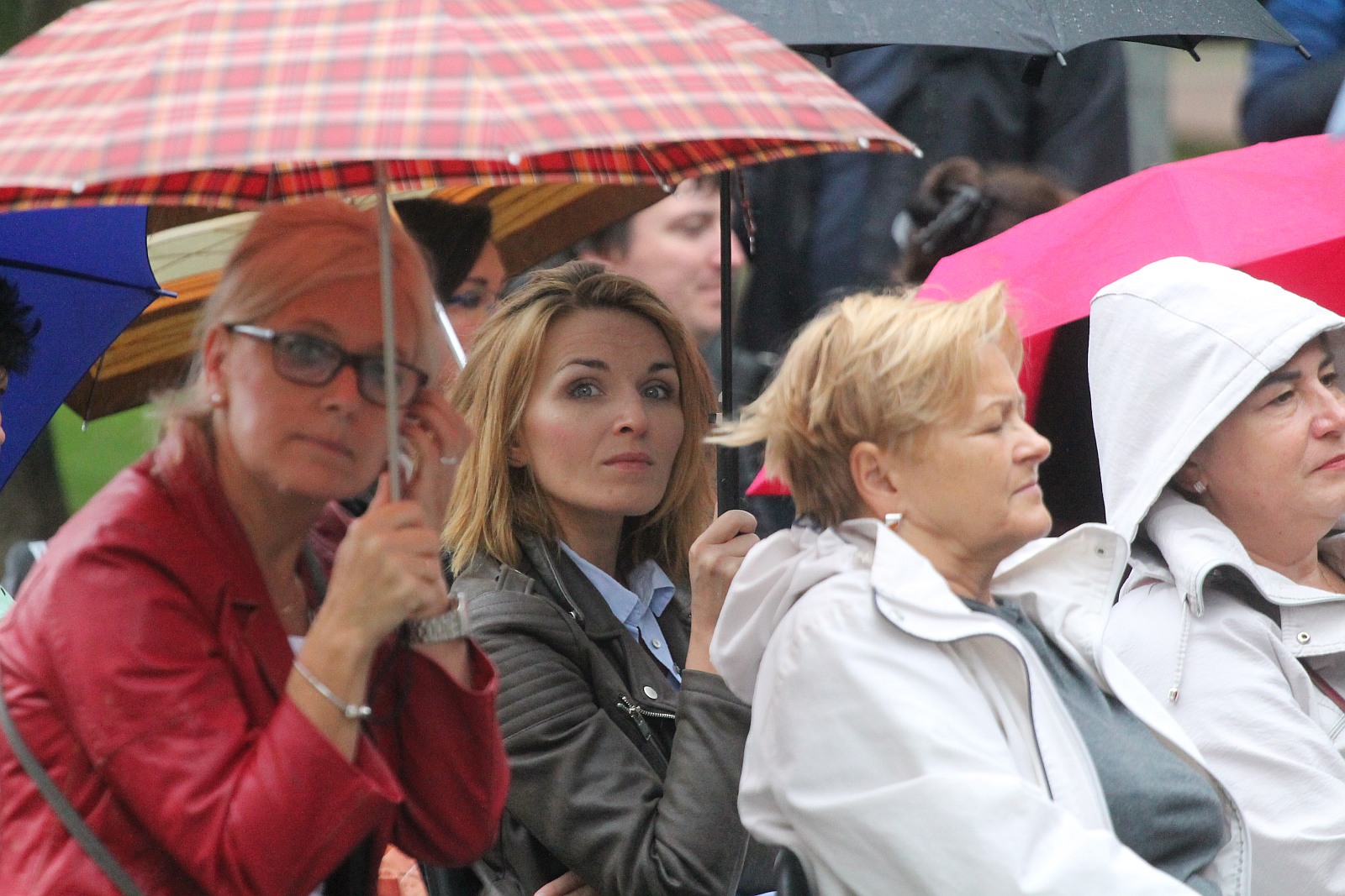 Nowele polskie lekturą Narodowego Czytania 2019