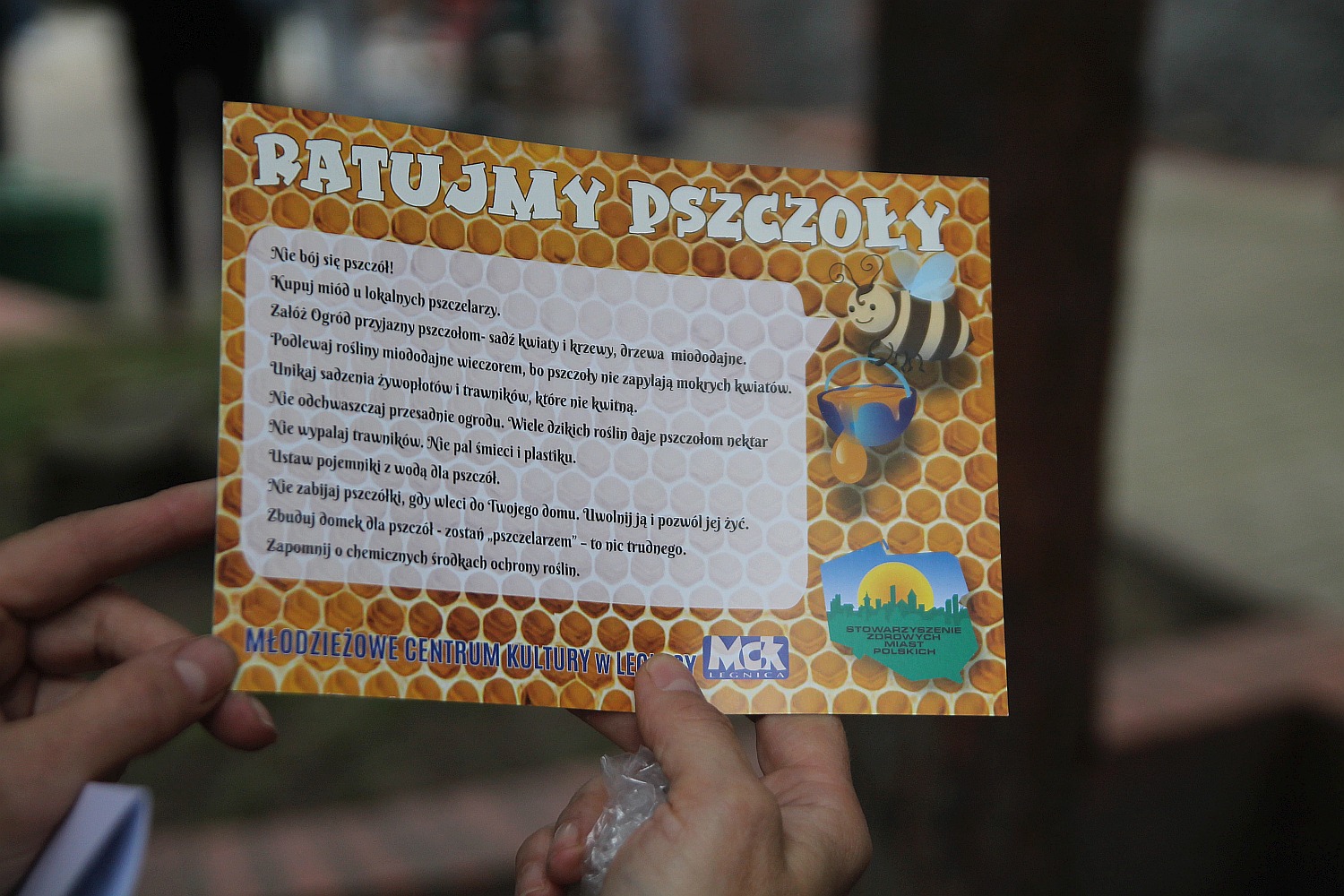 Festyn „Ratujmy pszczoły” odbył się przy ul. Rataja