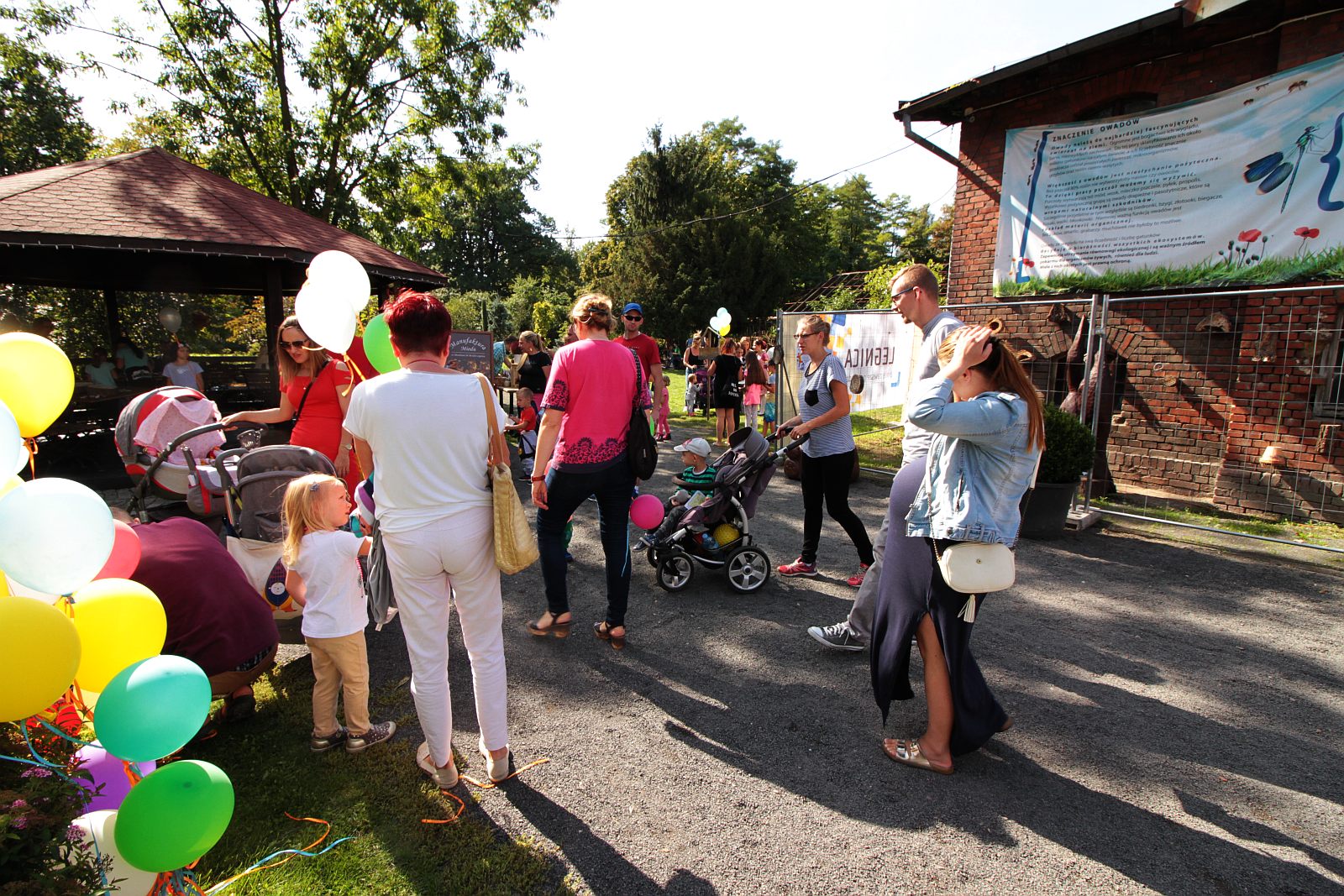 Legniczanie świętowali urodziny zwierzyńca w Parku Miejskim