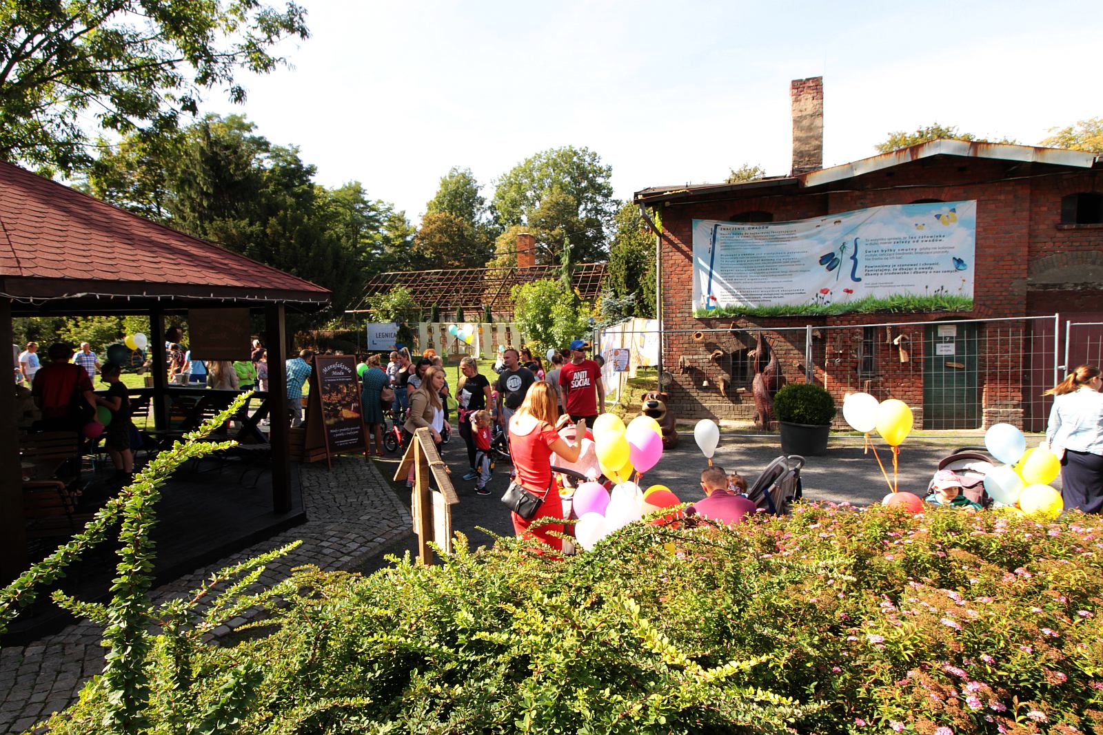 Legniczanie świętowali urodziny zwierzyńca w Parku Miejskim