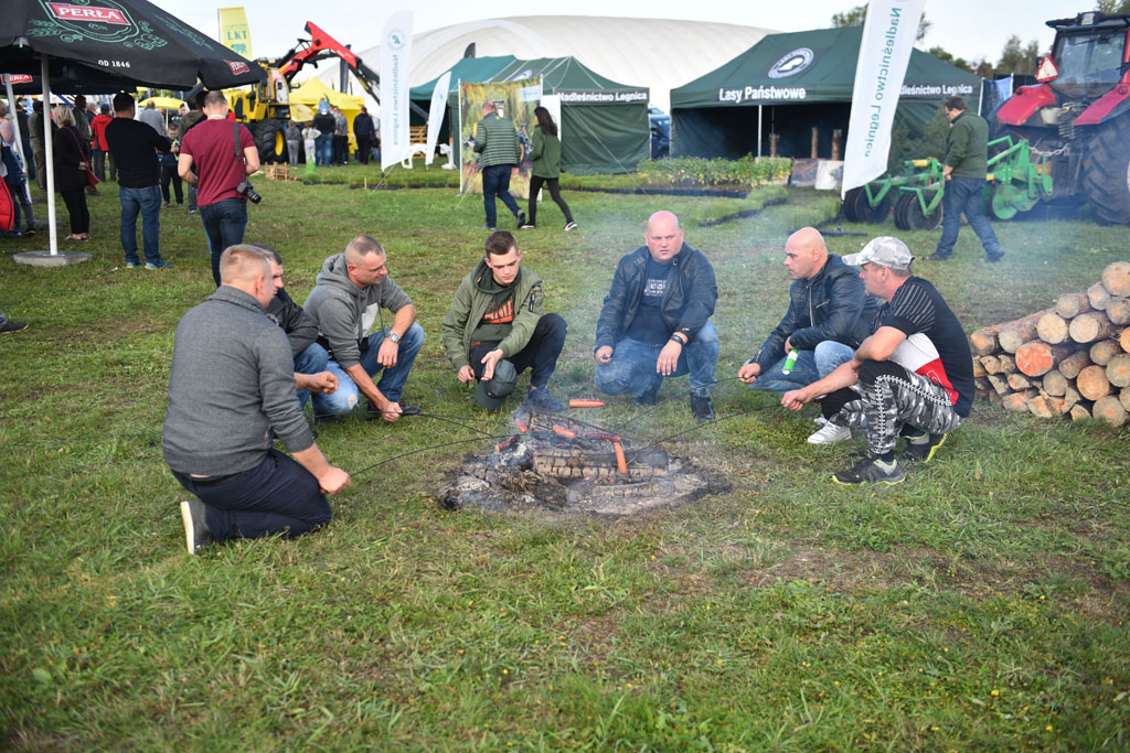 15. edycja Forest SHOW odbyła się na byłym lotnisku w Legnicy