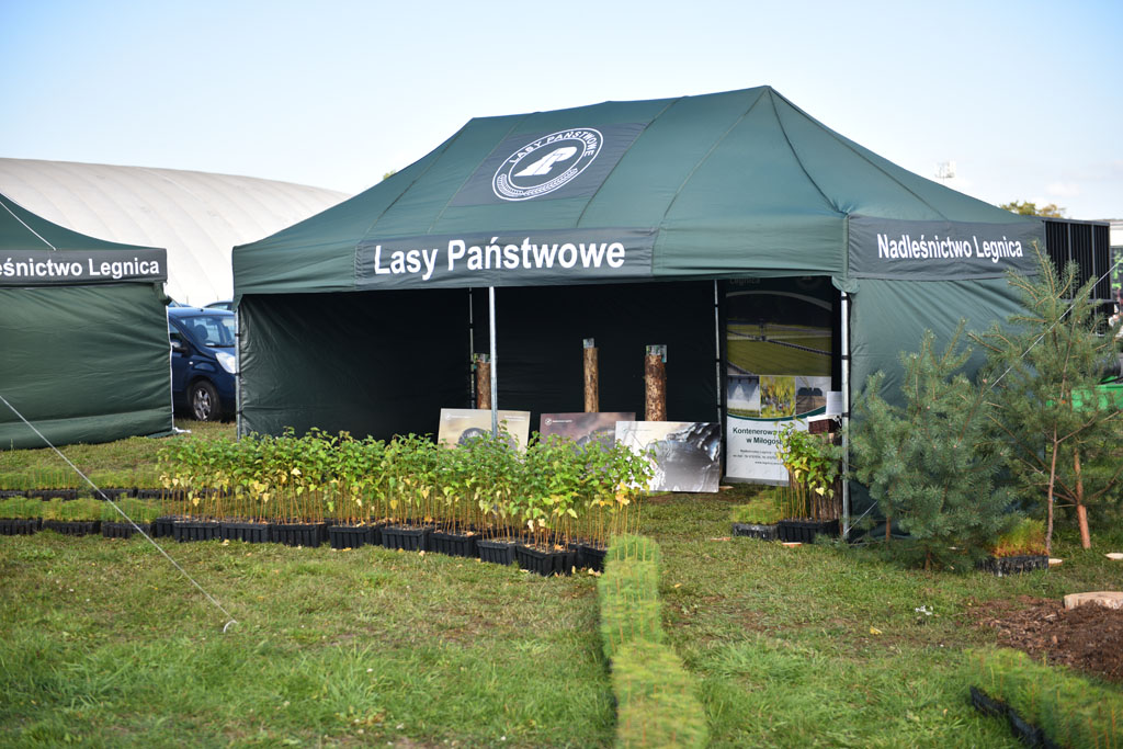 15. edycja Forest SHOW odbyła się na byłym lotnisku w Legnicy