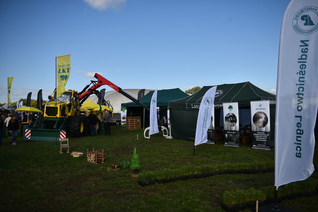 15. edycja Forest SHOW odbyła się na byłym lotnisku w Legnicy