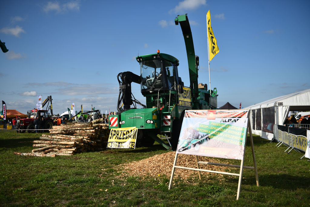 15. edycja Forest SHOW odbyła się na byłym lotnisku w Legnicy