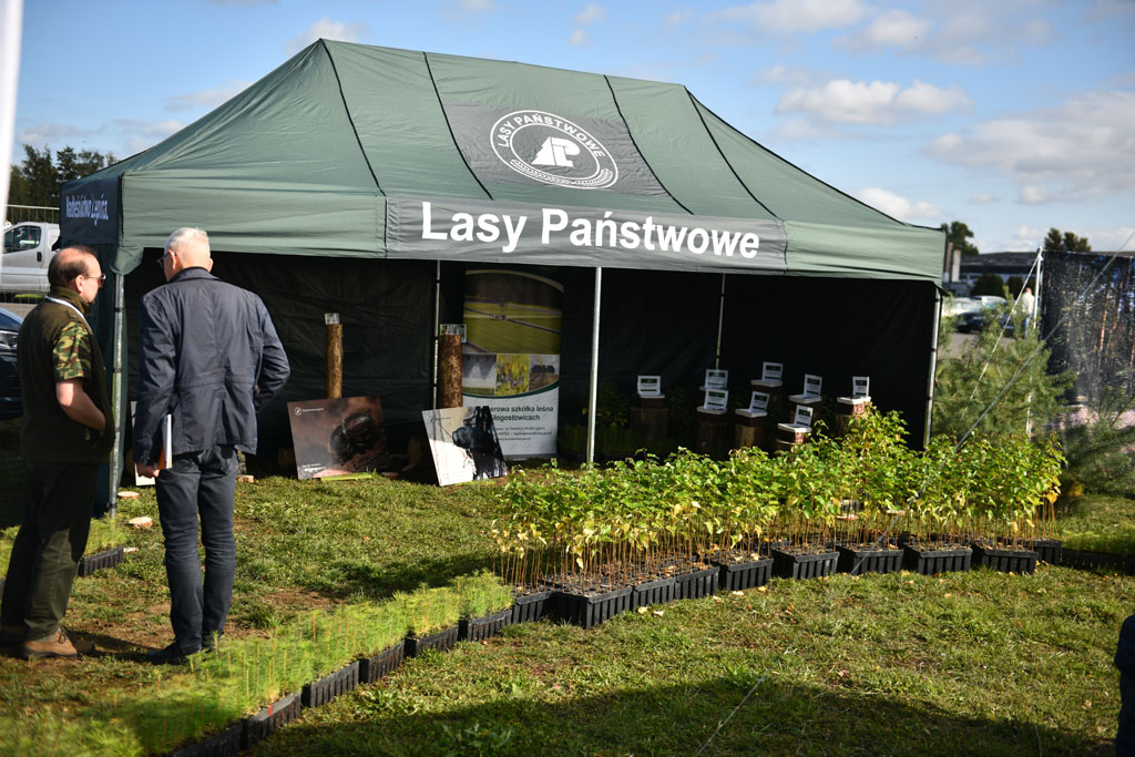 15. edycja Forest SHOW odbyła się na byłym lotnisku w Legnicy