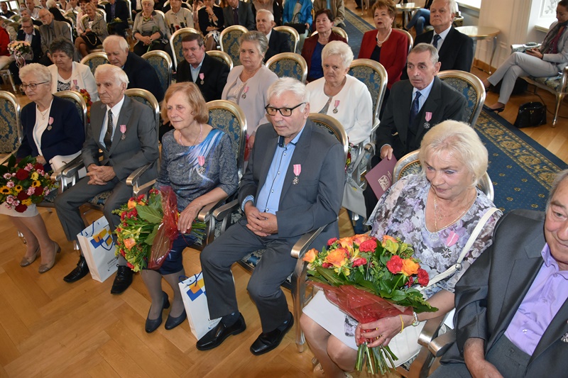 gody  vf  slub   uroczystosc  gody slub   uroczystosc