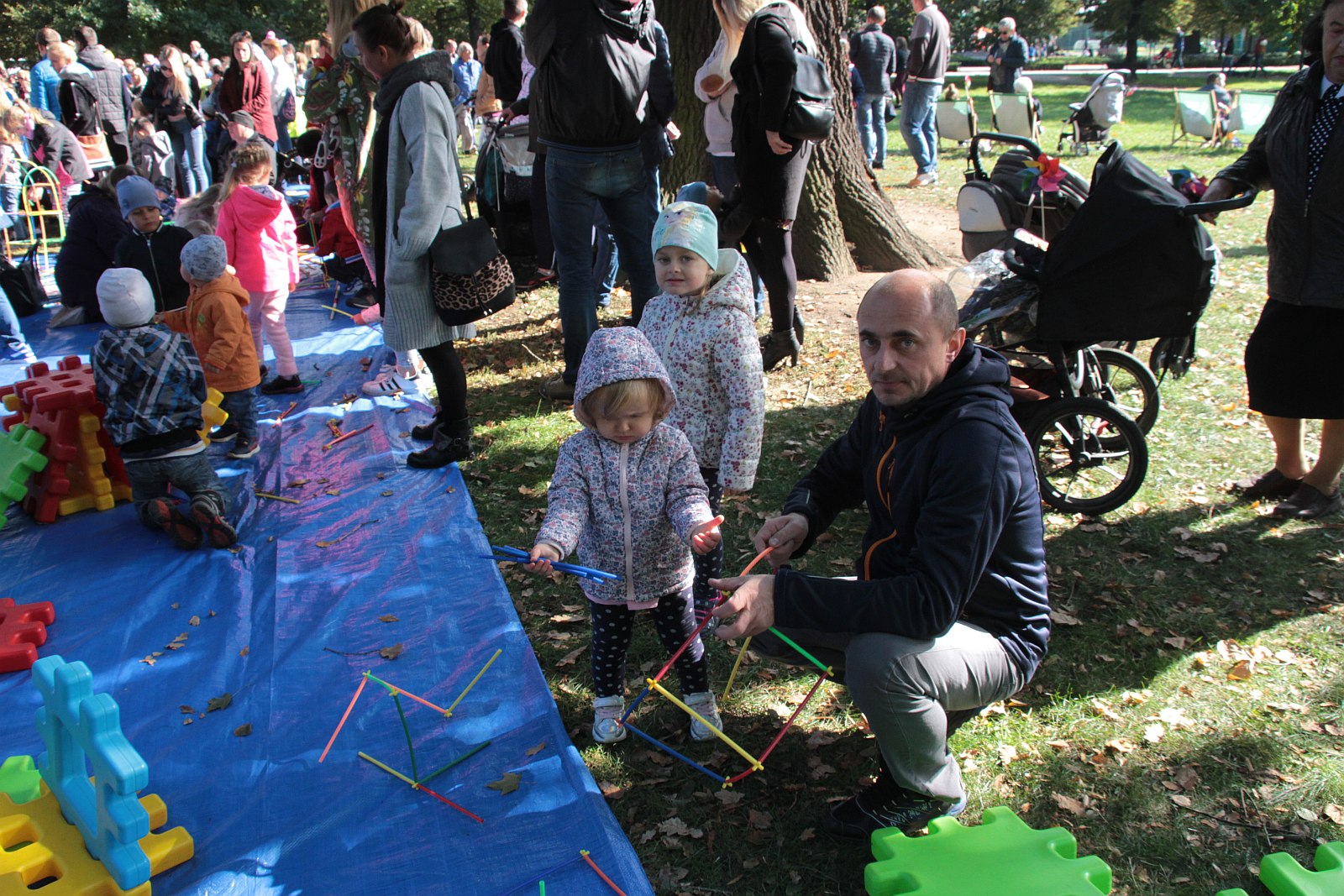 Dmuchawce, latawce, wiatr … i legniczanie w parku