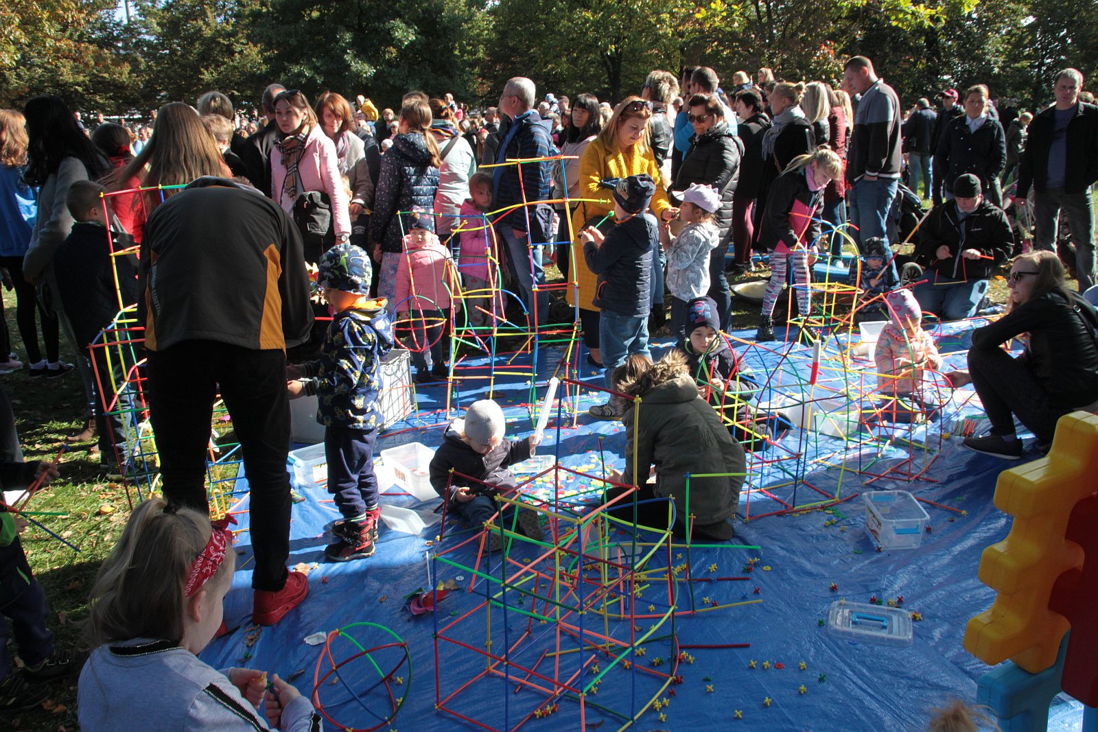 Dmuchawce, latawce, wiatr … i legniczanie w parku