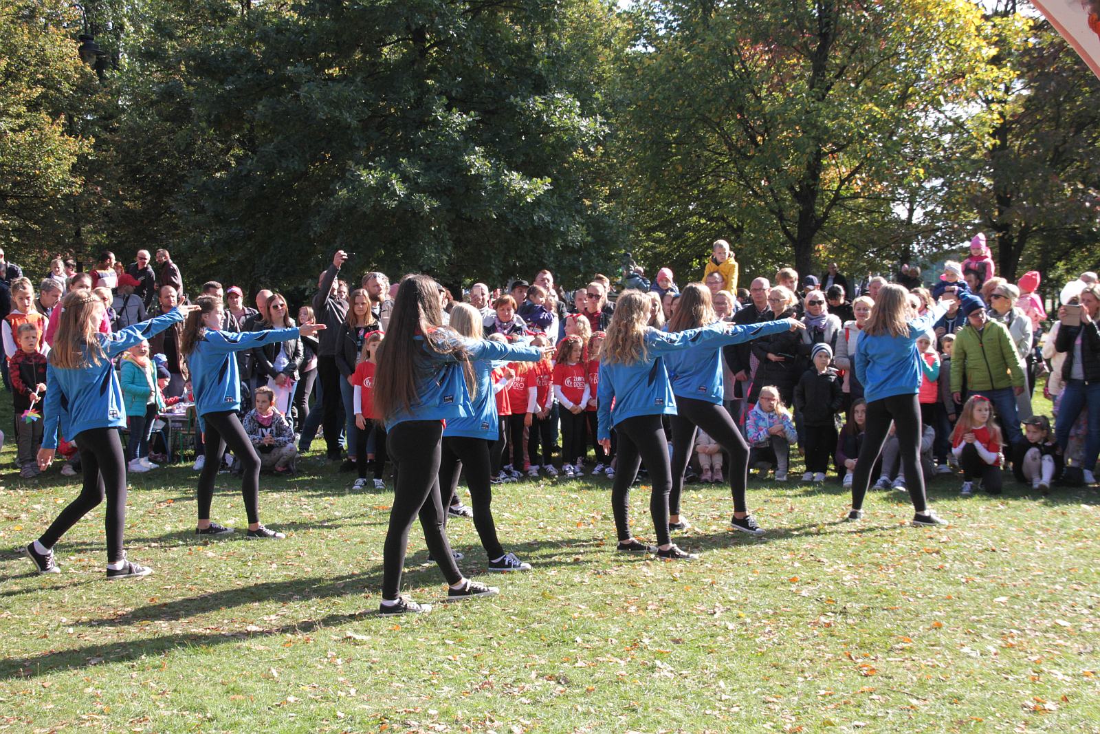 Dmuchawce, latawce, wiatr … i legniczanie w parku