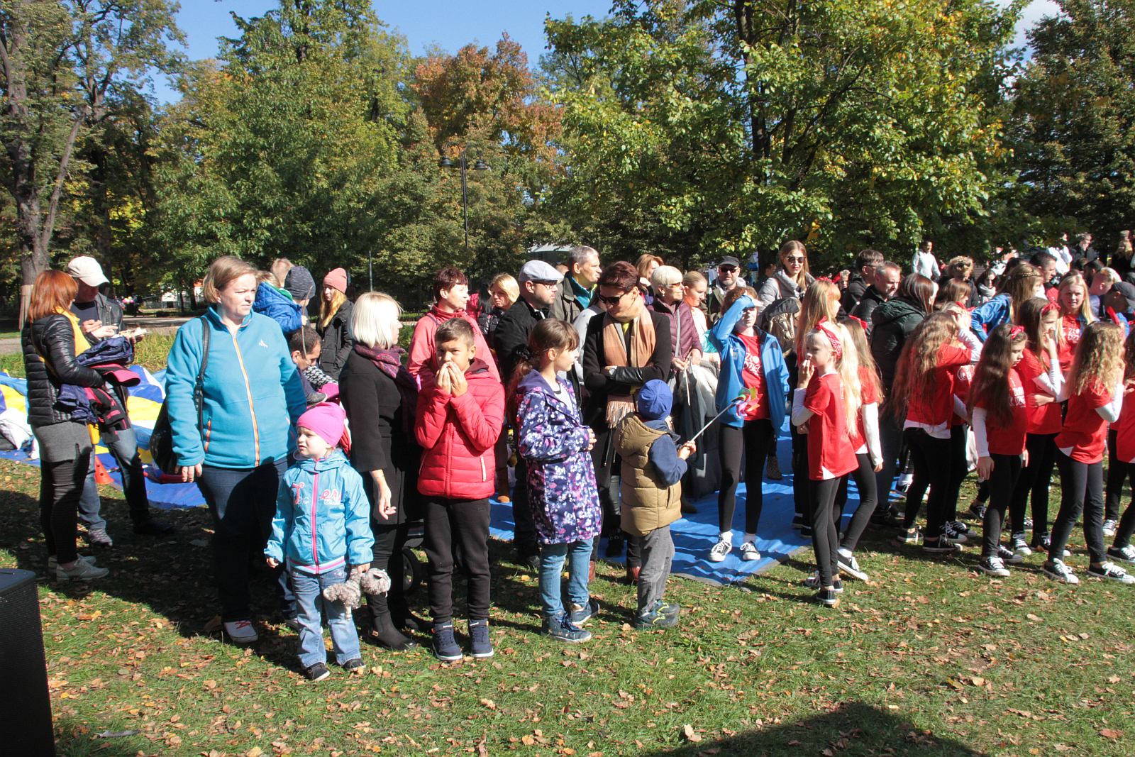 Dmuchawce, latawce, wiatr … i legniczanie w parku