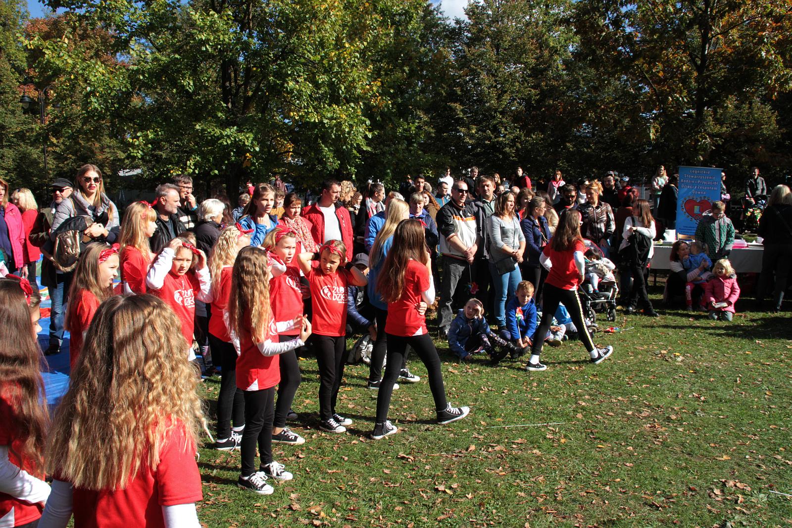 Dmuchawce, latawce, wiatr … i legniczanie w parku