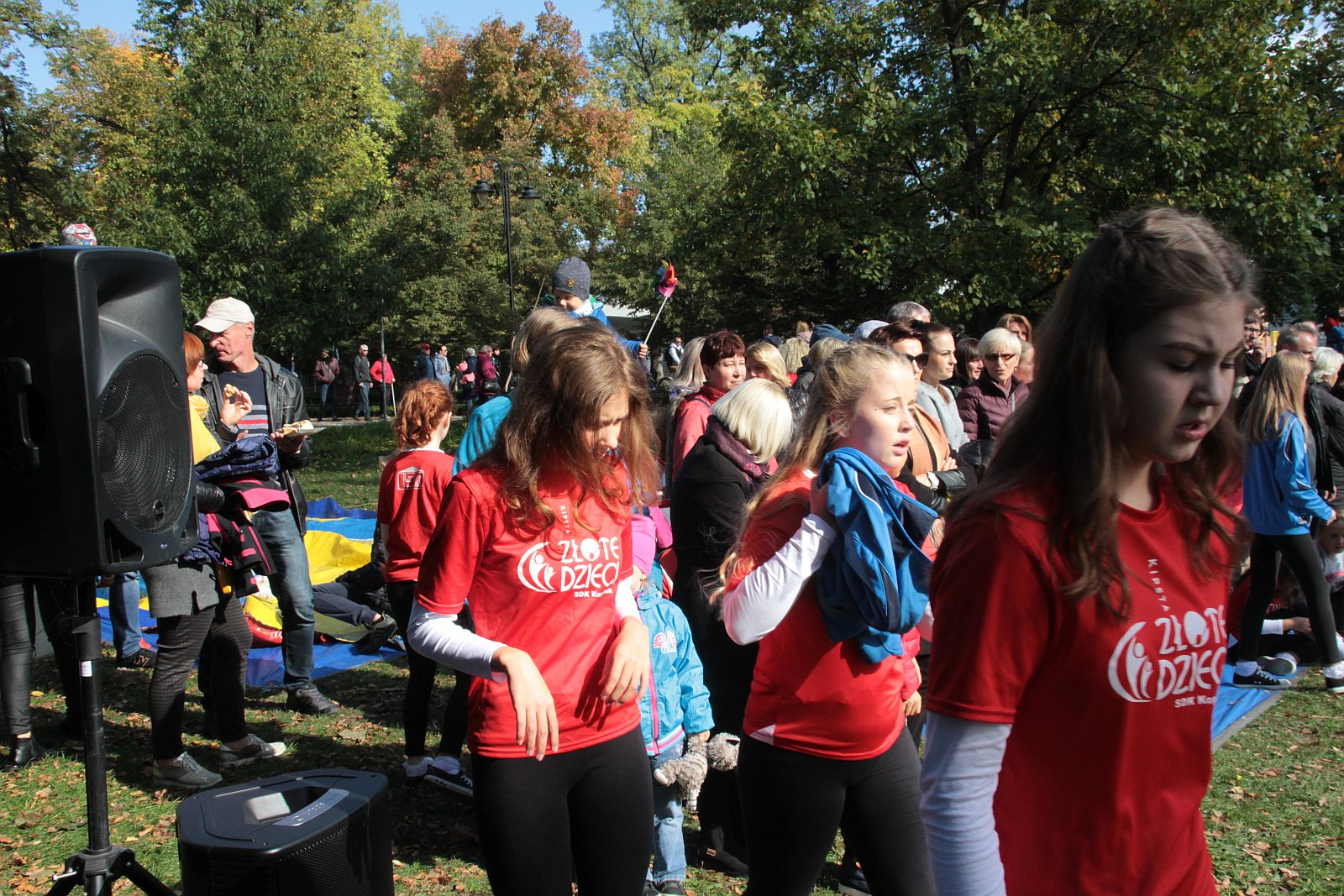 Dmuchawce, latawce, wiatr … i legniczanie w parku