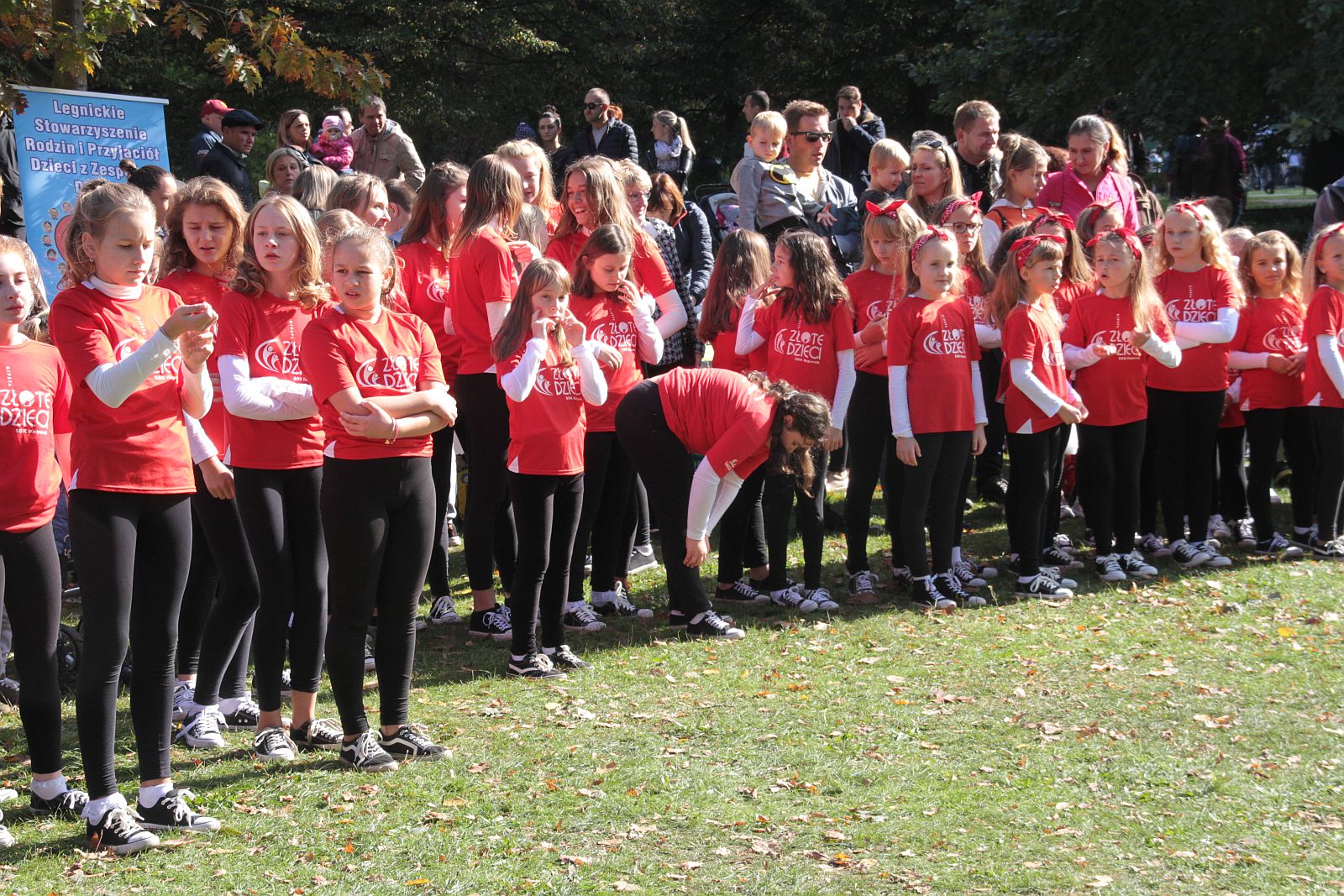 Dmuchawce, latawce, wiatr … i legniczanie w parku