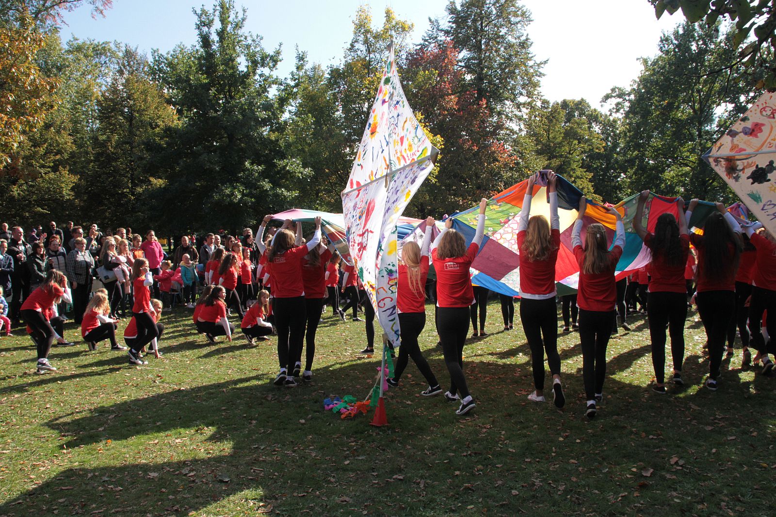 Dmuchawce, latawce, wiatr … i legniczanie w parku