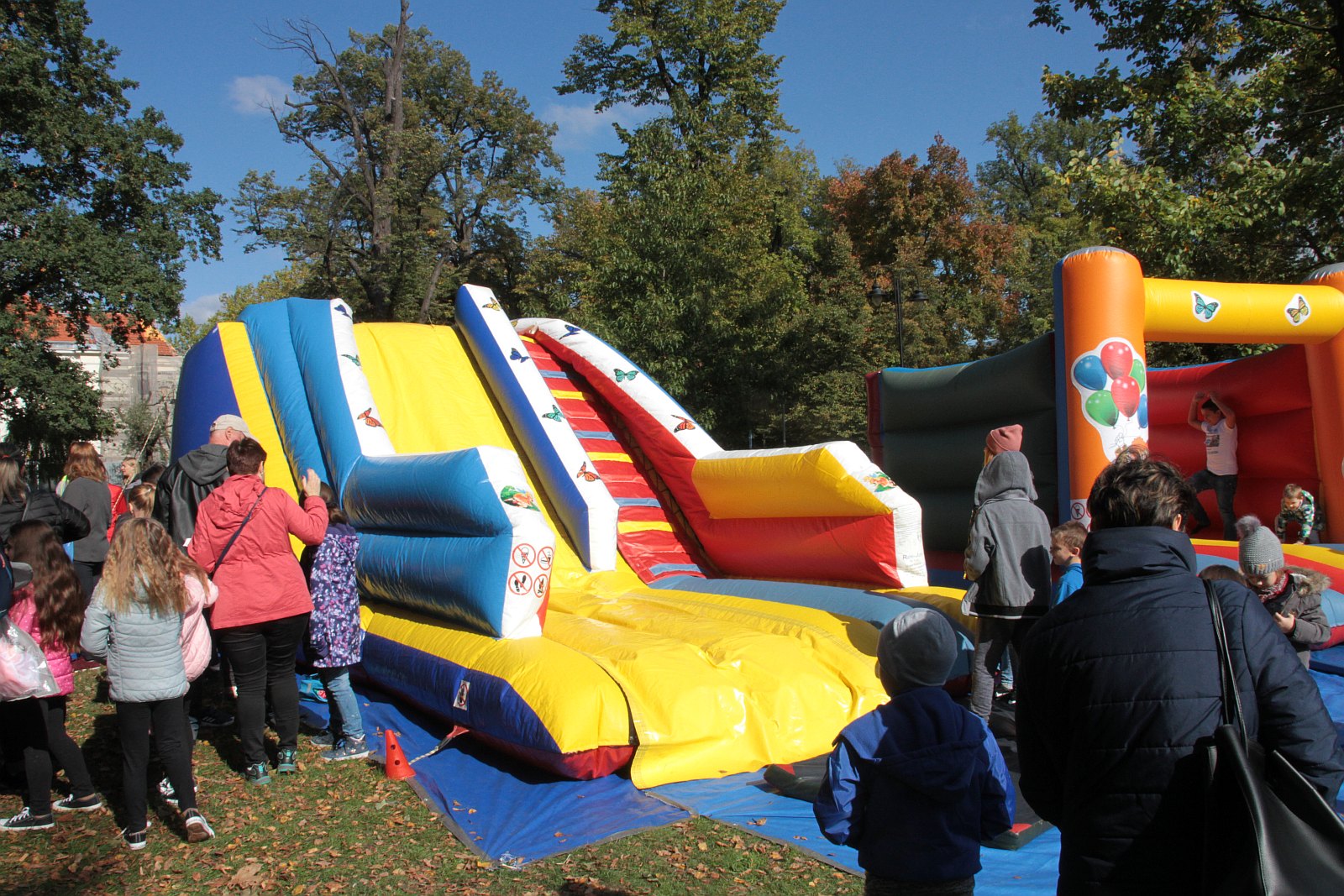 Dmuchawce, latawce, wiatr … i legniczanie w parku