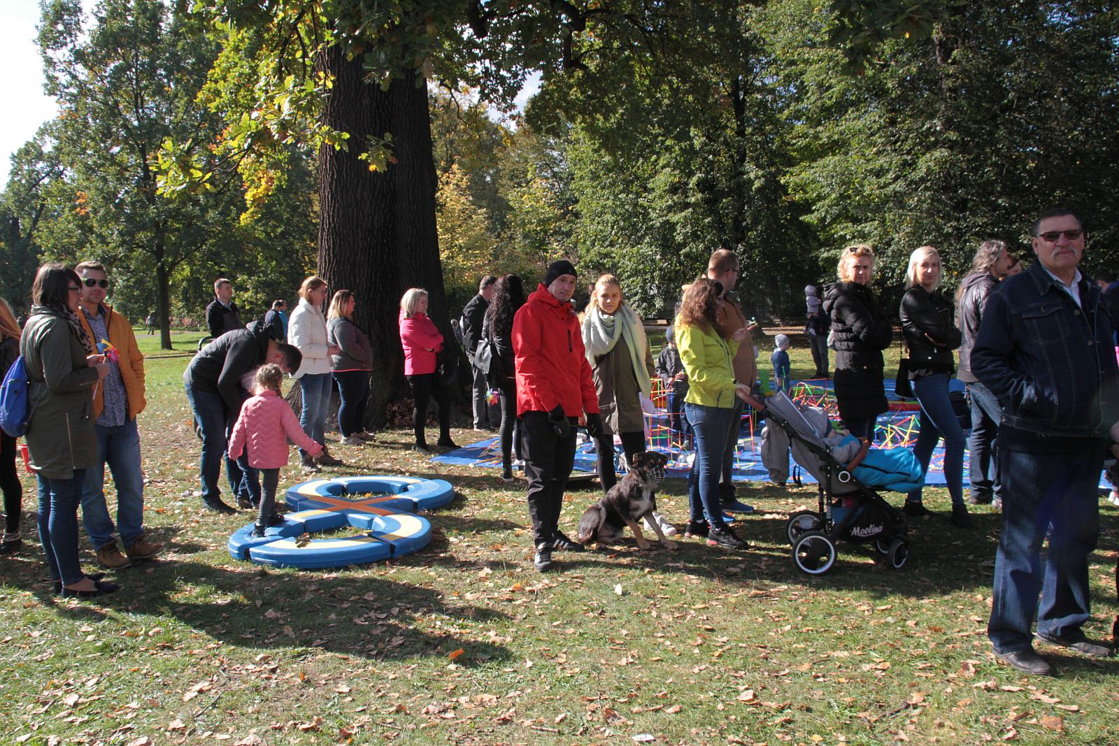 Dmuchawce, latawce, wiatr … i legniczanie w parku