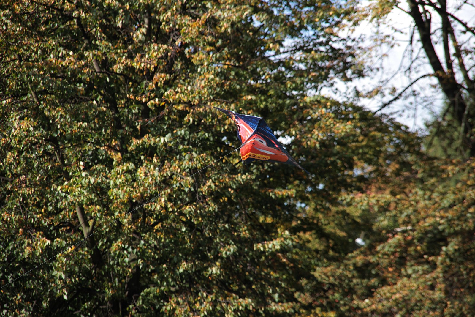 Dmuchawce, latawce, wiatr … i legniczanie w parku