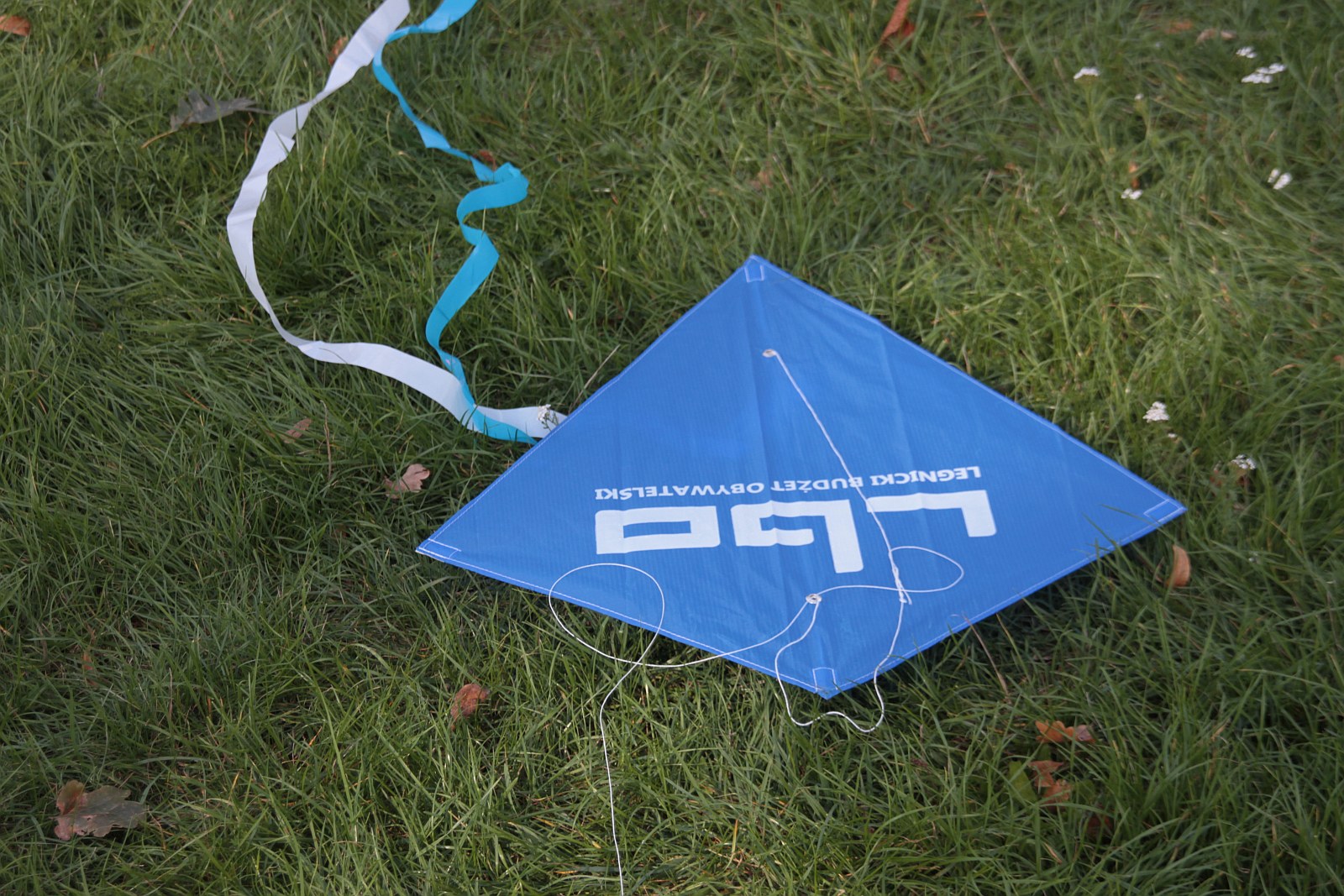 Dmuchawce, latawce, wiatr … i legniczanie w parku