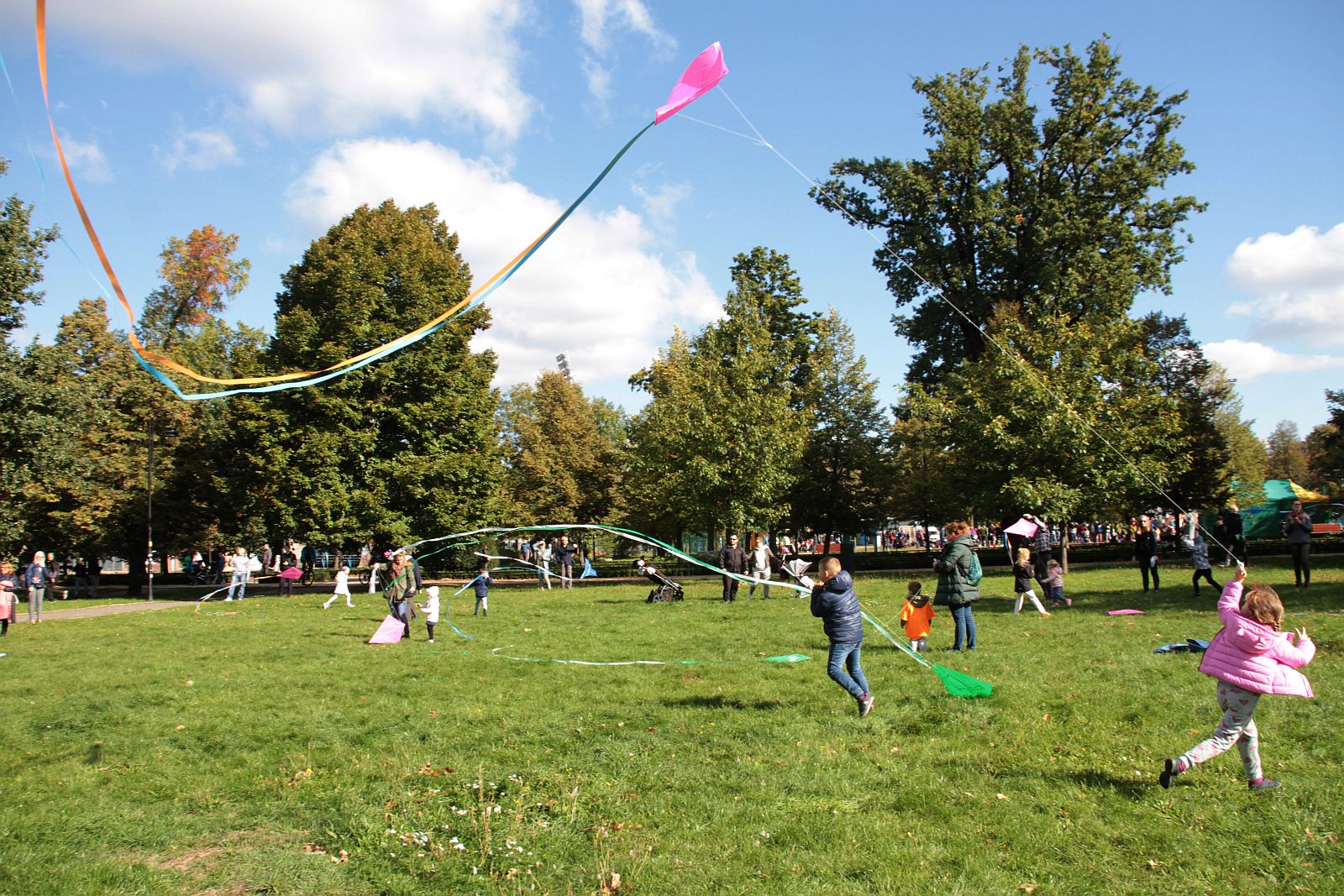 Dmuchawce, latawce, wiatr … i legniczanie w parku