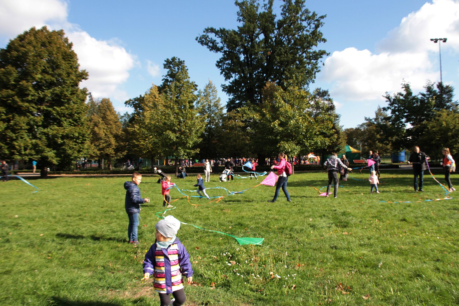 Dmuchawce, latawce, wiatr … i legniczanie w parku
