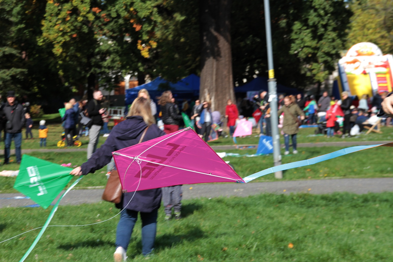 Dmuchawce, latawce, wiatr … i legniczanie w parku