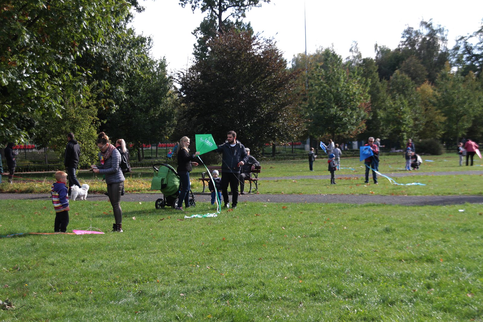 Dmuchawce, latawce, wiatr … i legniczanie w parku