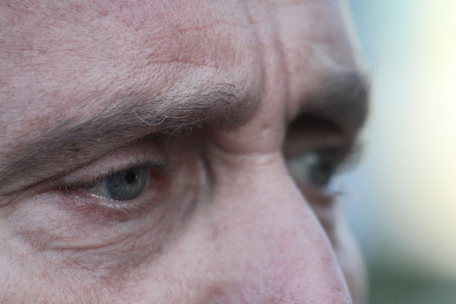 Grzegorz Schetyna i Grzegorz Napieralski w Legnicy