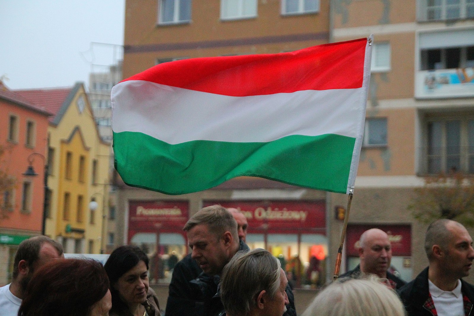Kwiaty pamięci pod tablicą ufundowaną przez węgierski rząd