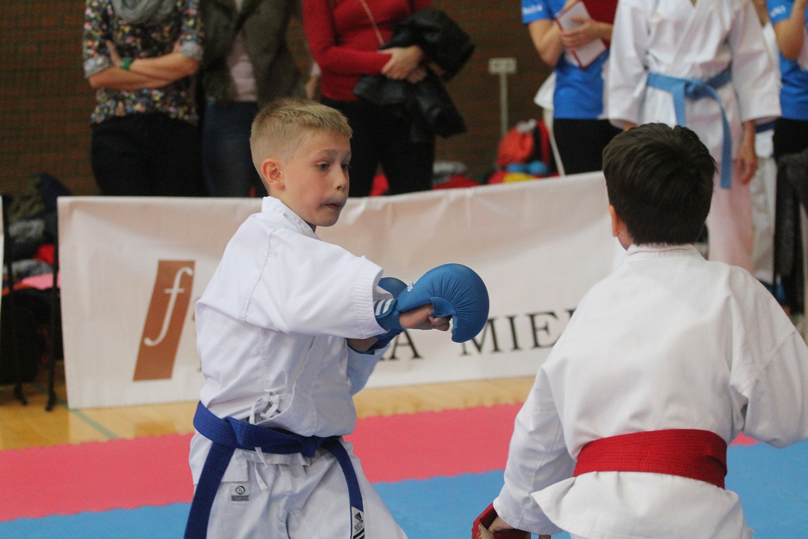 Na Piekarach odbył się Puchar Polski w karate olimpijskim