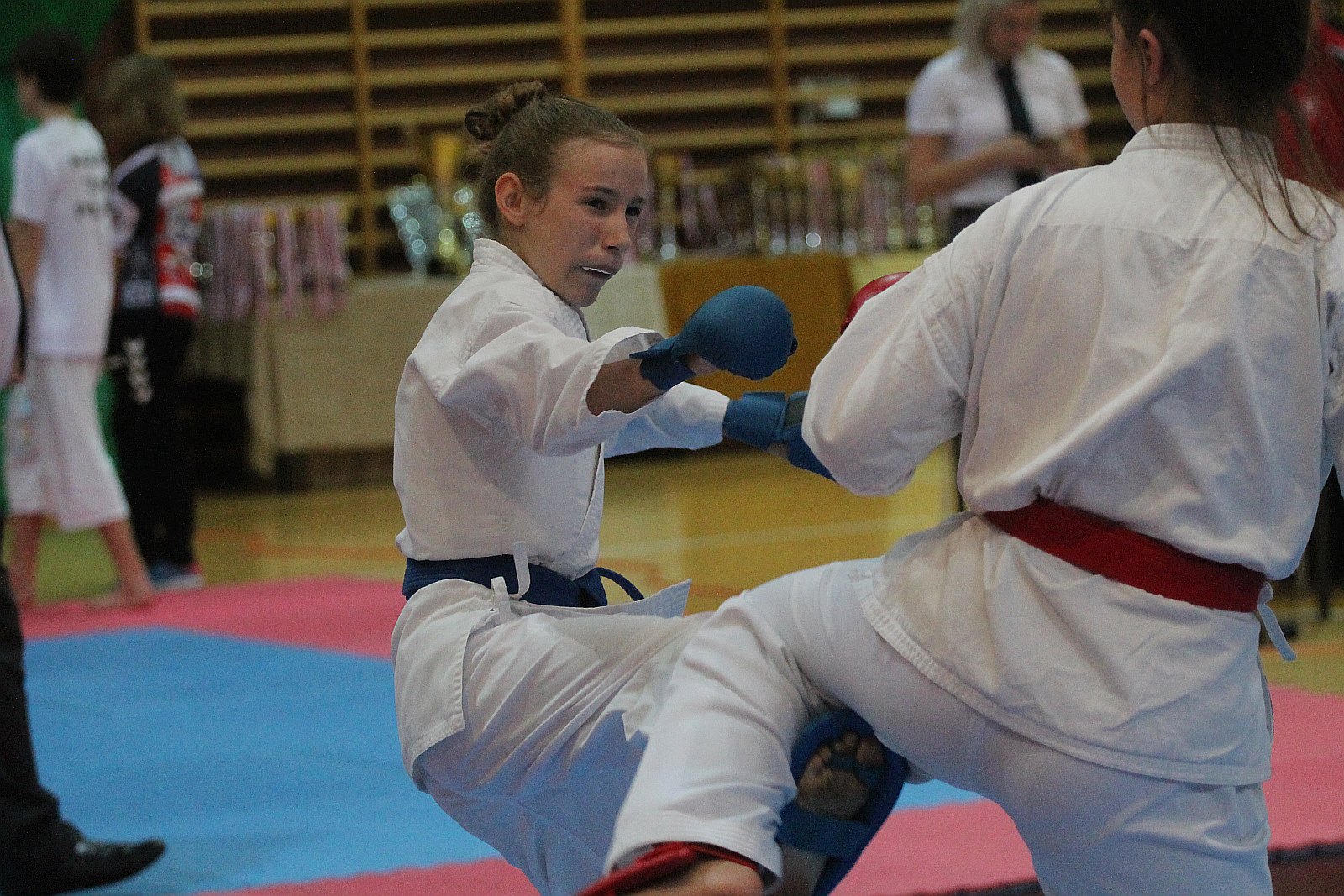 Na Piekarach odbył się Puchar Polski w karate olimpijskim