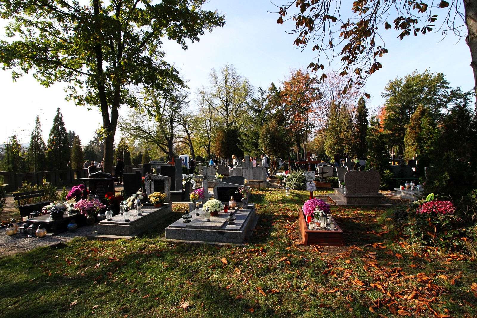 Wszystkich Świętych na legnickim cmentarzu komunalnym