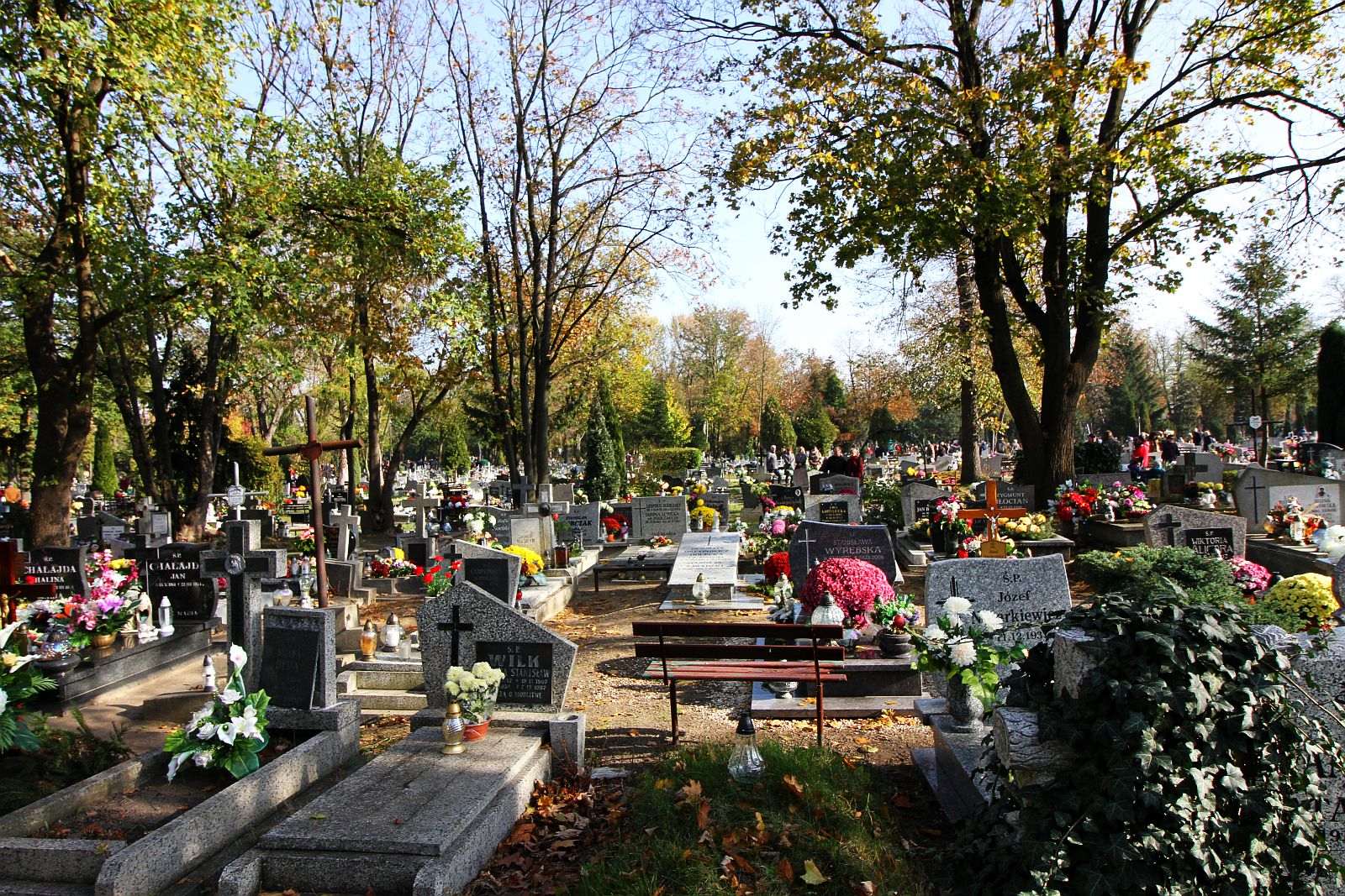 Wszystkich Świętych na legnickim cmentarzu komunalnym