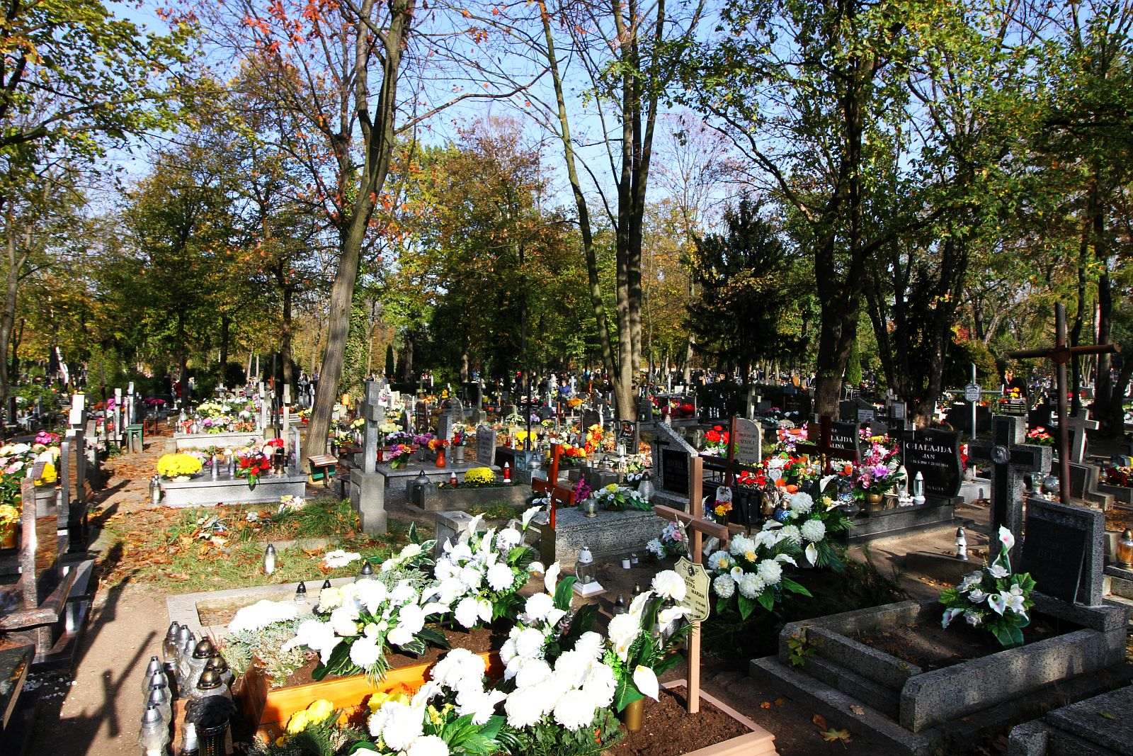 Wszystkich Świętych na legnickim cmentarzu komunalnym