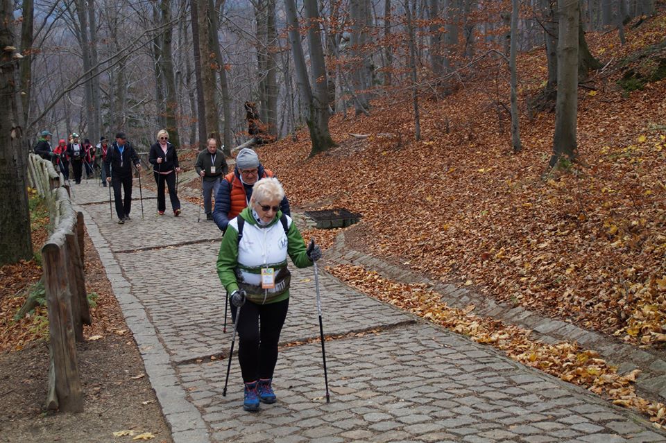 ABC Nordic Walking na szczycie góry Chojnik w Karkonoszach