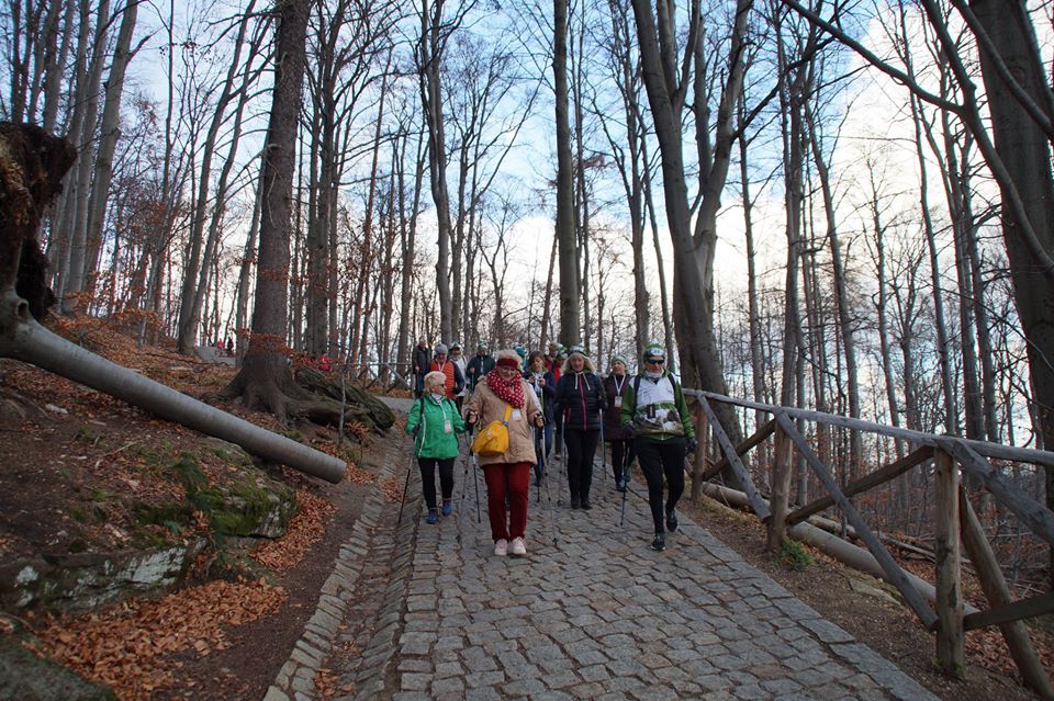 ABC Nordic Walking na szczycie góry Chojnik w Karkonoszach