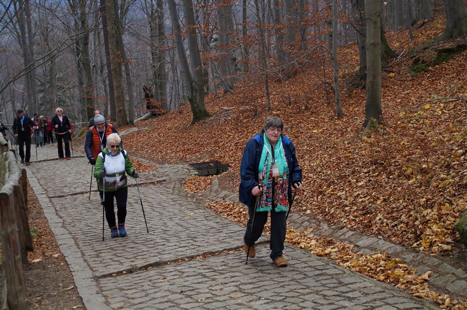 ABC Nordic Walking na szczycie góry Chojnik w Karkonoszach