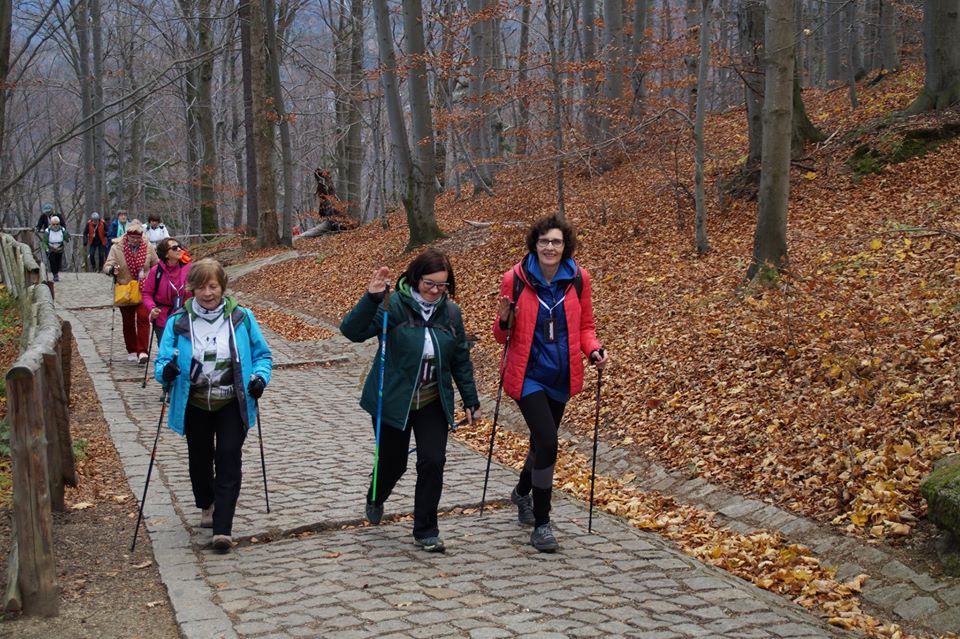 ABC Nordic Walking na szczycie góry Chojnik w Karkonoszach