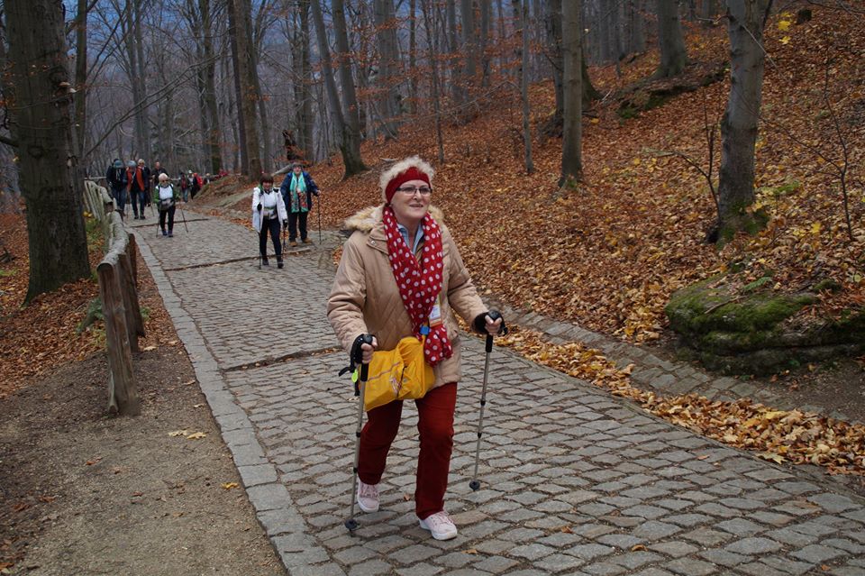 ABC Nordic Walking na szczycie góry Chojnik w Karkonoszach