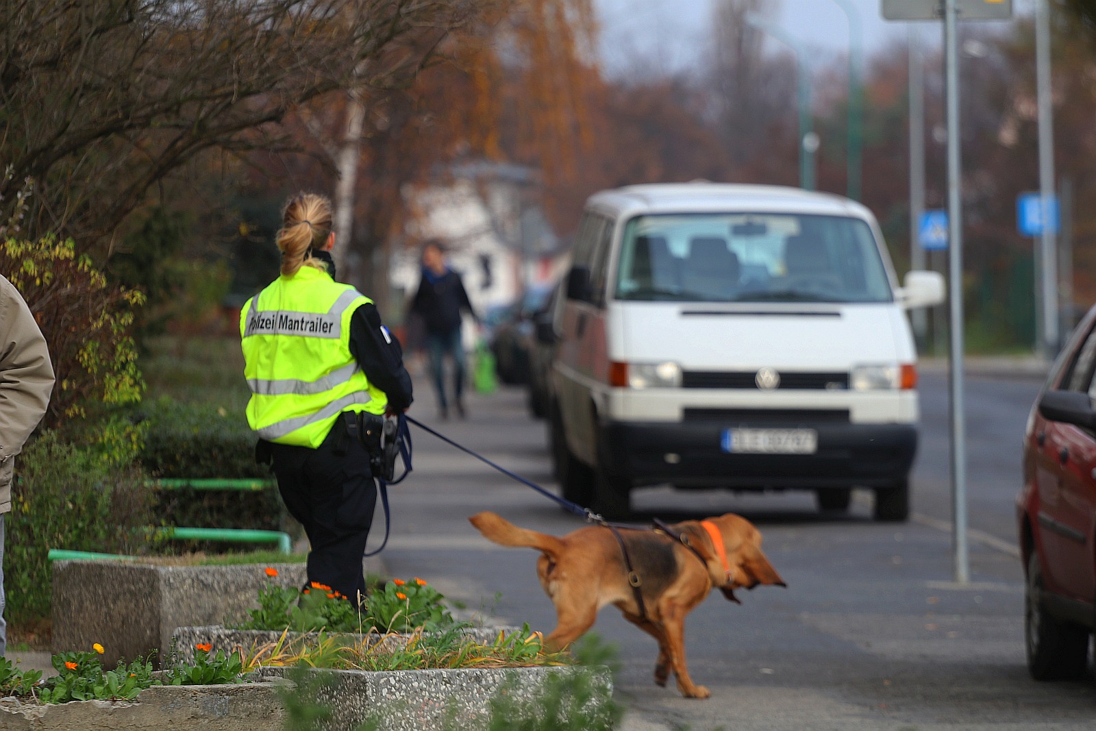 Pies tropiący, polska i niemiecka policja na Wlk. Niedźwiedzicy