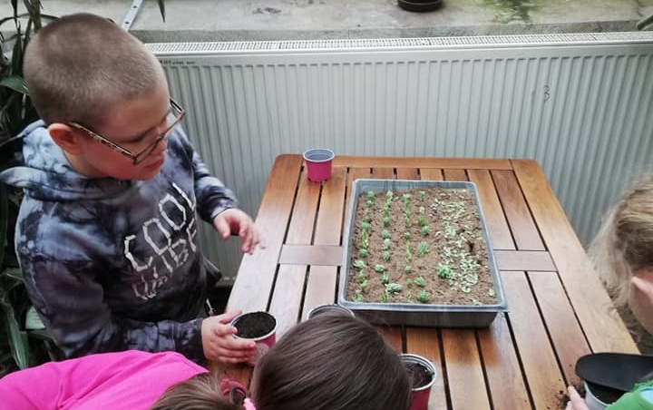 Zadziwiający świat sukulentów - warsztaty dla dzieci