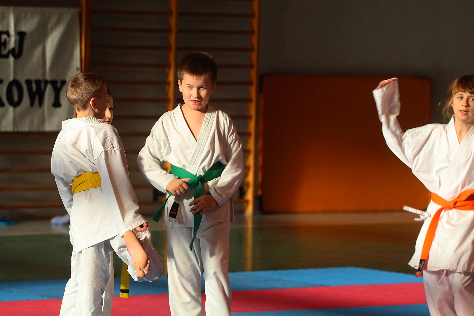 Mikołajkowy Turniej Karate 