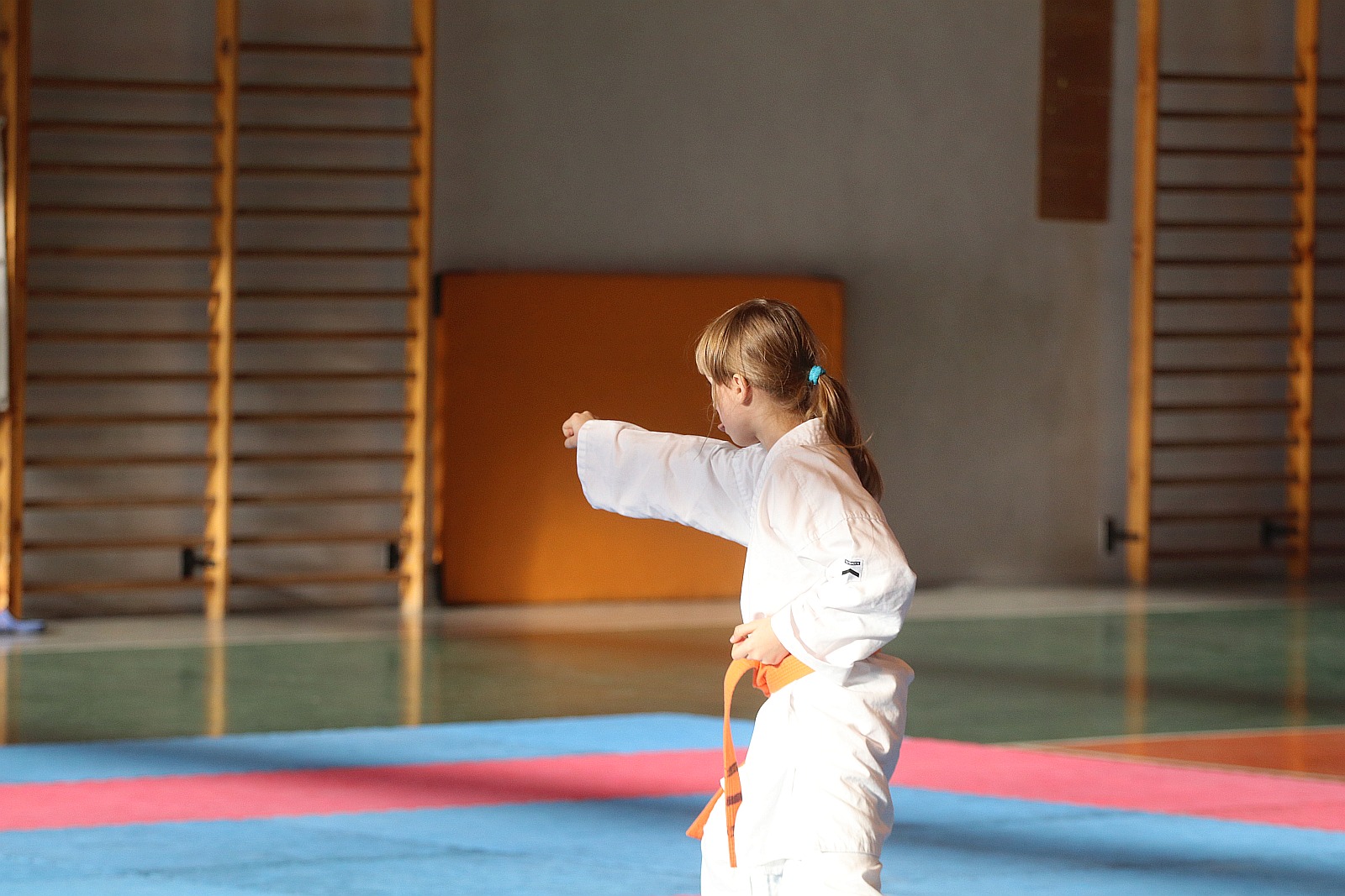 Mikołajkowy Turniej Karate 