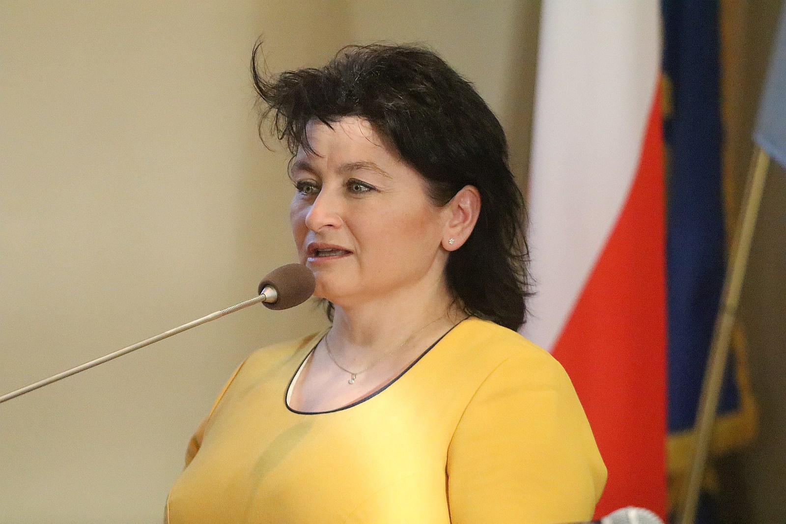 Bezpieczny Ratownik Medyczny na Dolnym Śląsku - konferencja